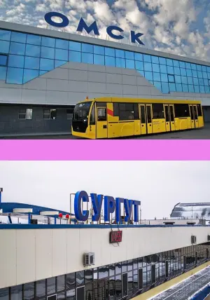 Омск-Сургут прямые рейсы